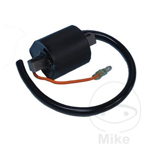 IGNITION COILS 12V .