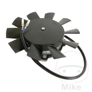 FAN ALL BALLS RACING