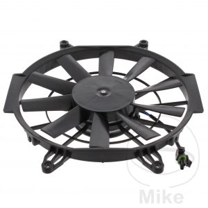 FAN ALL BALLS RACING