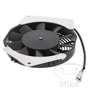 FAN ALL BALLS RACING