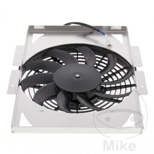 FAN ALL BALLS RACING