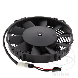 FAN ALL BALLS RACING