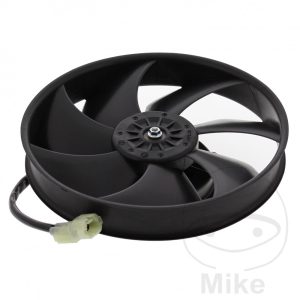 FAN ALL BALLS RACING