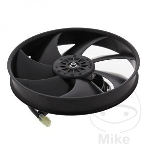 FAN ALL BALLS RACING