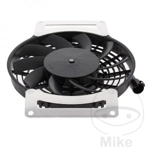 FAN ALL BALLS RACING