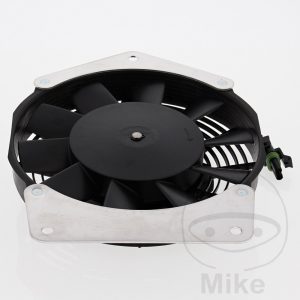 FAN ALL BALLS RACING