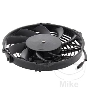 FAN ALL BALLS RACING