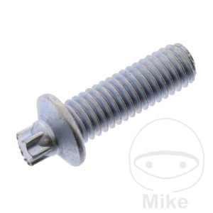 SHEAR BOLT (ORIG SPARE PART) FOR IGNITION LOCK