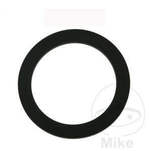 TANK CAP GASKET