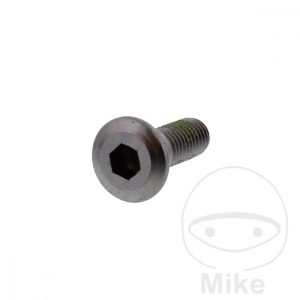 BRAKE DISC SCREW (ORIG SPARE PART) M8X1.25X24MM