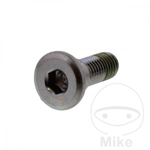BRAKE DISC SCREW (ORIG SPARE PART) M8X1.25X24MM