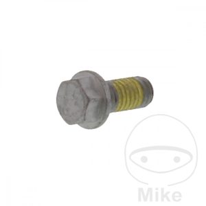 BRAKE DISC SCREW (ORIG SPARE PART) M6X1X13MM
