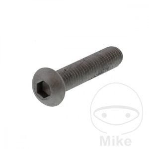 BRAKE DISC SCREW (ORIG SPARE PART) M6X1.25X30 mm