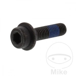 BRAKE DISC BOLT M8X1.25X30 mm