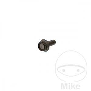 BRAKE DISC BOLT M6X1X16MM