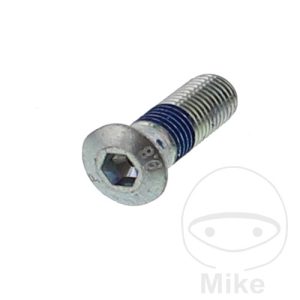 BRAKE DISC SCREW (ORIG SPARE PART) M10 x 1.25X30 mm