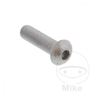 BRAKE DISC BOLT M8X1.25X30 mm