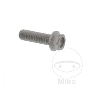 BRAKE DISC BOLT M6X1X20MM