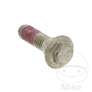 BRAKE DISC BOLT M8X1.25X30 mm