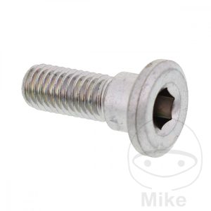 BRAKE DISC BOLT M8X1.25X22MM