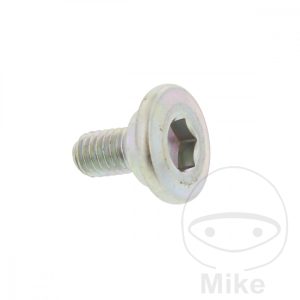 BRAKE DISC BOLT M6X1X12MM NextPart.dk Reservedele Motorcykler touring Sport Racing Atv Oliefilter Luftfilter Bremseklodser Bremseskive Tændrør Kædekit Dæk BRAKE DISC BOLT M6X1X12MM