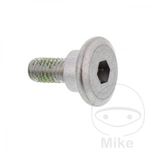 BRAKE DISC BOLT M6X1X17MM