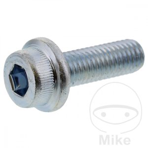 BRAKE DISC SCREW (ORIG SPARE PART) M8X1.25X25MM
