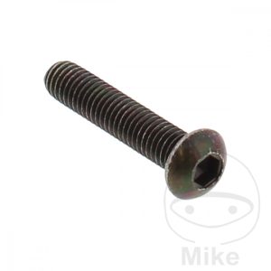 BRAKE DISC BOLT OE M6X1X30MM