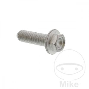 BRAKE DISC BOLT M6X1X20MM