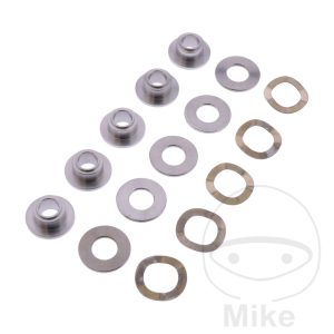 BRAKE DISC FLOATER BREMBO FROM BUILD YEAR 2008