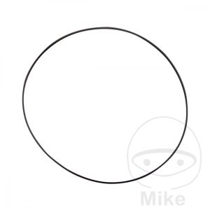 CYLINDER HEAD GASKET O-RING .