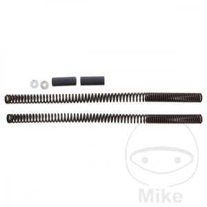 FORK SPRING