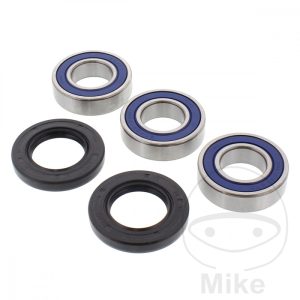 WHEEL BEARING AND SEAL KIT ALL BALLS RACING NextPart.dk Reservedele Motorcykler touring Sport Racing Atv Oliefilter Luftfilter Bremseklodser Bremseskive Tændrør Kædekit Dæk WHEEL BEARING AND SEAL KIT ALL BALLS RACING