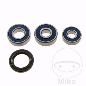 WHEEL BEARING AND SEAL KIT ALL BALLS RACING NextPart.dk Reservedele Motorcykler touring Sport Racing Atv Oliefilter Luftfilter Bremseklodser Bremseskive Tændrør Kædekit Dæk WHEEL BEARING AND SEAL KIT ALL BALLS RACING