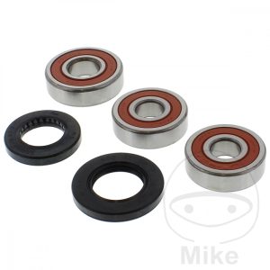 WHEEL BEARING AND SEAL KIT mit Wellendichtring
