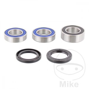 WHEEL BEARING AND SEAL KIT ALL BALLS RACING NextPart.dk Reservedele Motorcykler touring Sport Racing Atv Oliefilter Luftfilter Bremseklodser Bremseskive Tændrør Kædekit Dæk WHEEL BEARING AND SEAL KIT ALL BALLS RACING