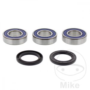WHEEL BEARING AND SEAL KIT ALL BALLS RACING NextPart.dk Reservedele Motorcykler touring Sport Racing Atv Oliefilter Luftfilter Bremseklodser Bremseskive Tændrør Kædekit Dæk WHEEL BEARING AND SEAL KIT ALL BALLS RACING