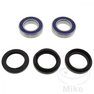 WHEEL BEARING AND SEAL KIT ALL BALLS RACING NextPart.dk Reservedele Motorcykler touring Sport Racing Atv Oliefilter Luftfilter Bremseklodser Bremseskive Tændrør Kædekit Dæk WHEEL BEARING AND SEAL KIT ALL BALLS RACING