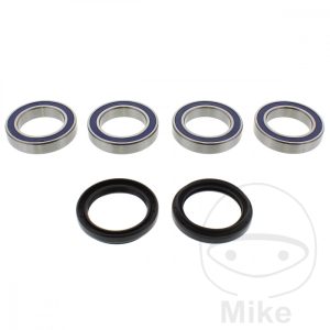 WHEEL BEARING AND SEAL KIT ALL BALLS RACING NextPart.dk Reservedele Motorcykler touring Sport Racing Atv Oliefilter Luftfilter Bremseklodser Bremseskive Tændrør Kædekit Dæk WHEEL BEARING AND SEAL KIT ALL BALLS RACING
