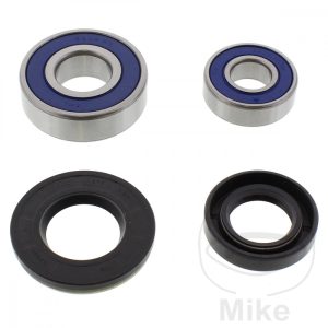WHEEL BEARING AND SEAL KIT ALL BALLS RACING NextPart.dk Reservedele Motorcykler touring Sport Racing Atv Oliefilter Luftfilter Bremseklodser Bremseskive Tændrør Kædekit Dæk WHEEL BEARING AND SEAL KIT ALL BALLS RACING