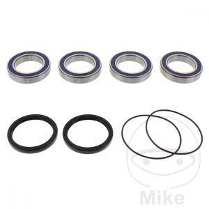 WHEEL BEARING AND SEAL KIT ALL BALLS RACING NextPart.dk Reservedele Motorcykler touring Sport Racing Atv Oliefilter Luftfilter Bremseklodser Bremseskive Tændrør Kædekit Dæk WHEEL BEARING AND SEAL KIT ALL BALLS RACING