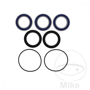 WHEEL BEARING AND SEAL KIT ALL BALLS RACING NextPart.dk Reservedele Motorcykler touring Sport Racing Atv Oliefilter Luftfilter Bremseklodser Bremseskive Tændrør Kædekit Dæk WHEEL BEARING AND SEAL KIT ALL BALLS RACING