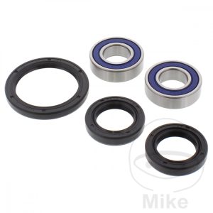 WHEEL BEARING AND SEAL KIT ALL BALLS RACING NextPart.dk Reservedele Motorcykler touring Sport Racing Atv Oliefilter Luftfilter Bremseklodser Bremseskive Tændrør Kædekit Dæk WHEEL BEARING AND SEAL KIT ALL BALLS RACING