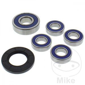 WHEEL BEARING AND SEAL KIT ALL BALLS RACING NextPart.dk Reservedele Motorcykler touring Sport Racing Atv Oliefilter Luftfilter Bremseklodser Bremseskive Tændrør Kædekit Dæk WHEEL BEARING AND SEAL KIT ALL BALLS RACING