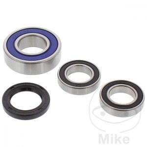 WHEEL BEARING AND SEAL KIT ALL BALLS RACING NextPart.dk Reservedele Motorcykler touring Sport Racing Atv Oliefilter Luftfilter Bremseklodser Bremseskive Tændrør Kædekit Dæk WHEEL BEARING AND SEAL KIT ALL BALLS RACING