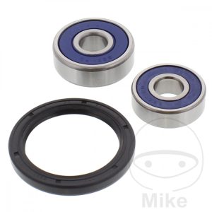 WHEEL BEARING AND SEAL KIT ALL BALLS RACING NextPart.dk Reservedele Motorcykler touring Sport Racing Atv Oliefilter Luftfilter Bremseklodser Bremseskive Tændrør Kædekit Dæk WHEEL BEARING AND SEAL KIT ALL BALLS RACING