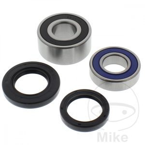 WHEEL BEARING AND SEAL KIT ALL BALLS RACING NextPart.dk Reservedele Motorcykler touring Sport Racing Atv Oliefilter Luftfilter Bremseklodser Bremseskive Tændrør Kædekit Dæk WHEEL BEARING AND SEAL KIT ALL BALLS RACING