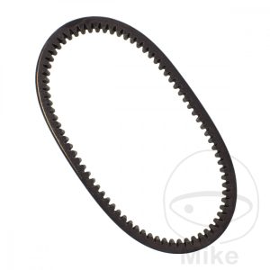 DRIVE BELT 30.0X876 High performance