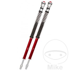 CARTRIDGE KIT FORK YSS ON Road Z1