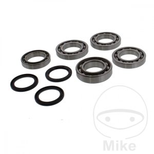DIFF REPAIR KIT COMPLETE ALL BALLS RACING